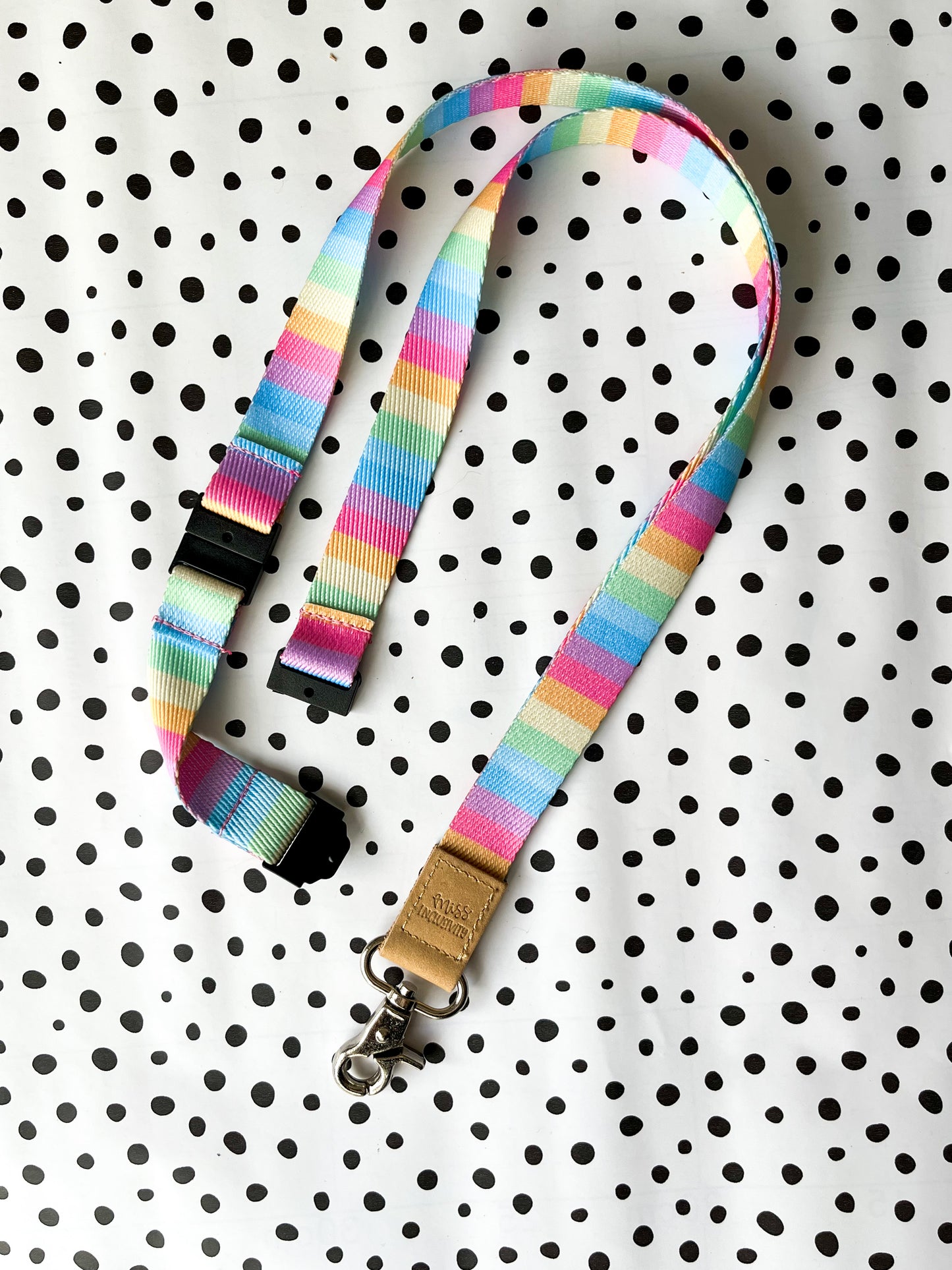 Inclusivity Rainbow Lanyard